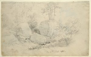Boulders in Woodland by Caspar David Friedrich